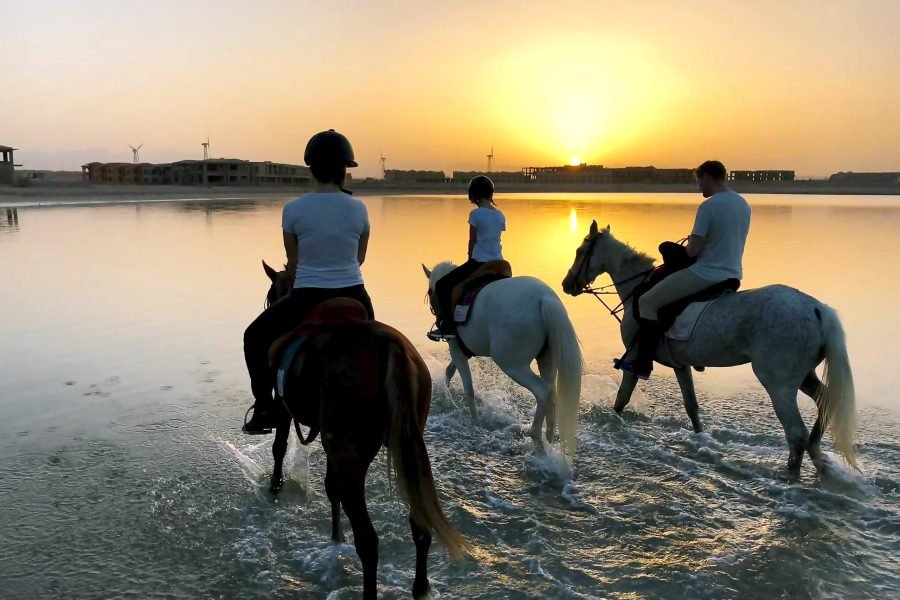 Hurghada Horseback Adventure – 2 Hours on Beach & Desert Trails